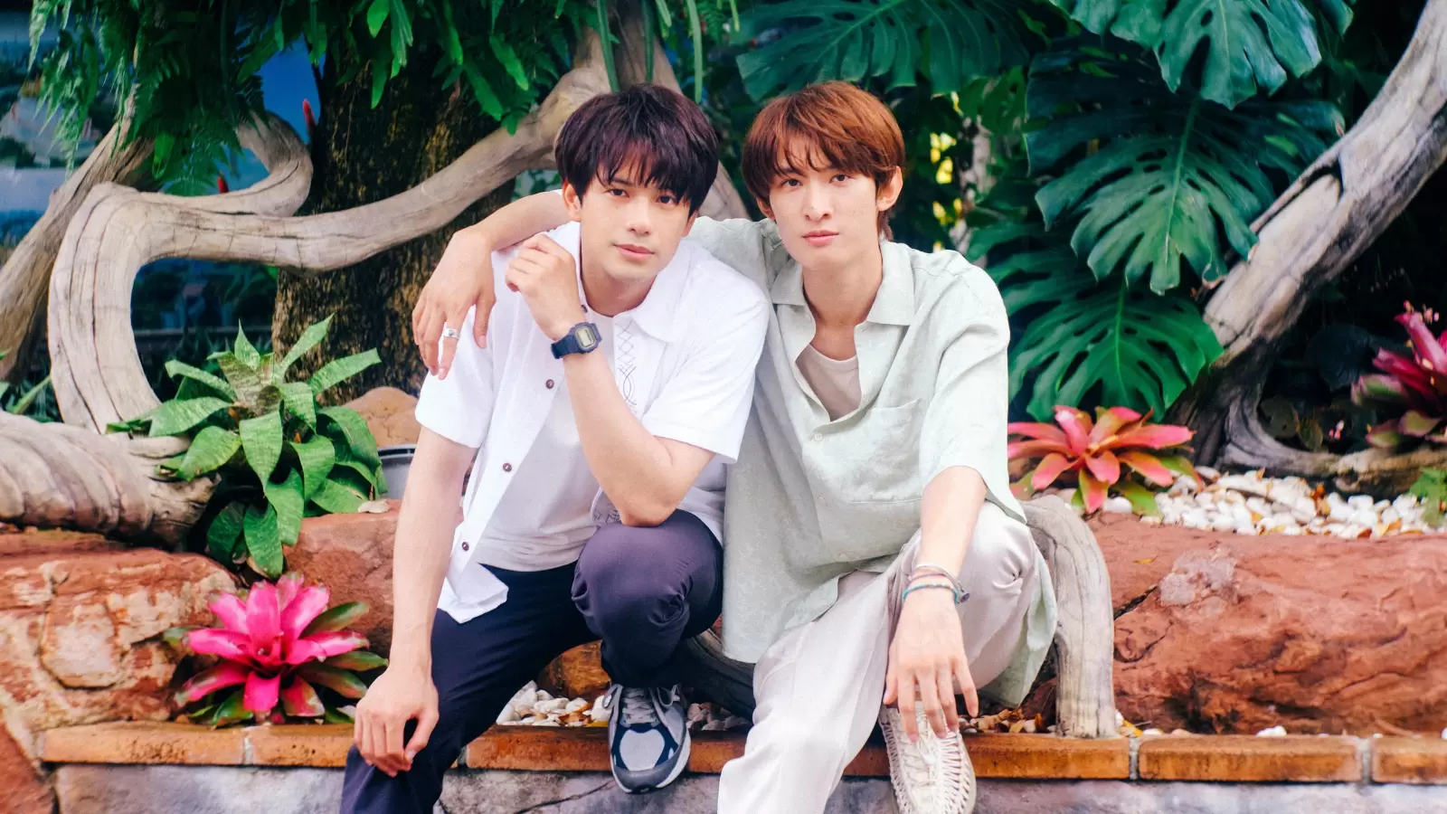 未完的情歌-圖片