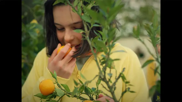 The Scent of Tangerine-Image