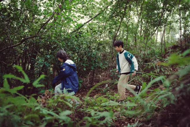 Boy in the Secret Forest-Image