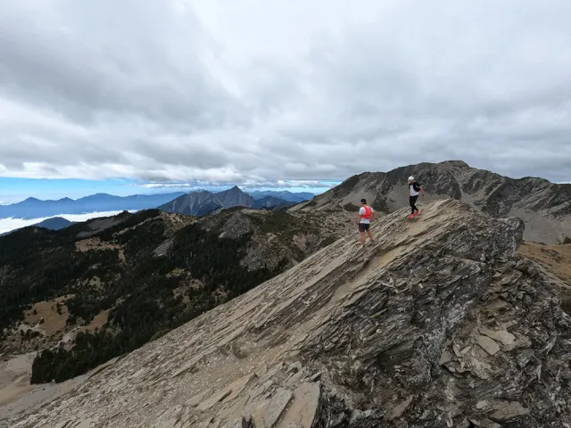 Braving the Peak-Image