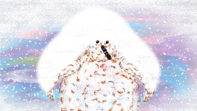 Penguins-Image