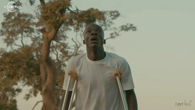 Films Made by The Critics - A Collection-Image