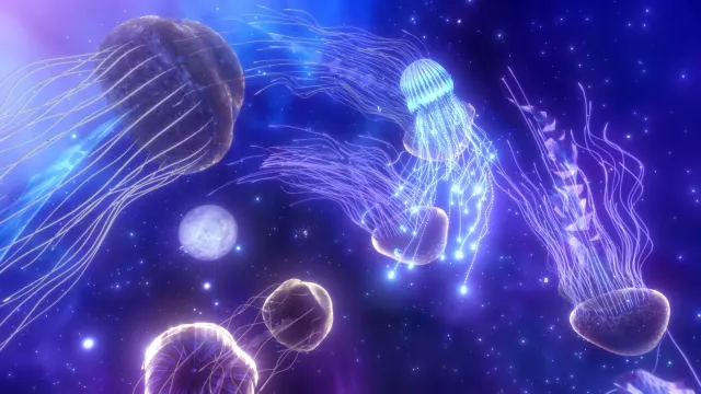 高雄電影節再創驚人之舉！推出「線上虛擬展場」與「VR 頭顯租賃方案」一鍵享受沈浸式體驗！-圖片
