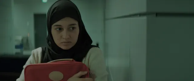 The Red Suitcase-Image