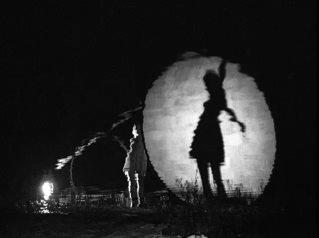 Shadow Nettes-Image