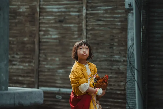 殺雞-圖片